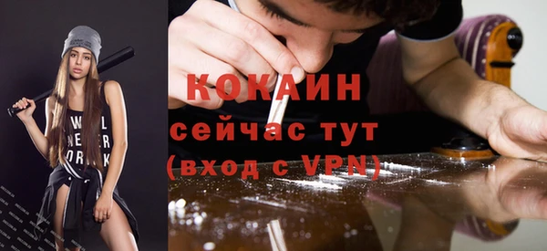 трава Карпинск