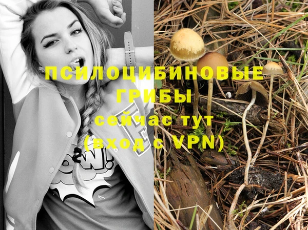 трава Карпинск
