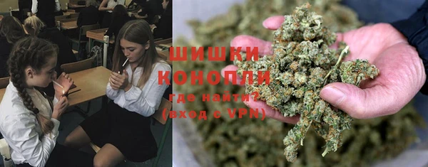 прущие грибы Кодинск
