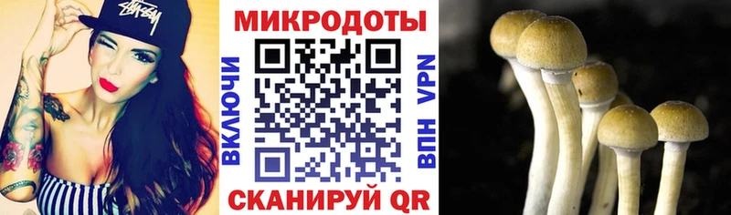 Купить где  Курганинск  Галлюциногенные грибы Psilocybe 